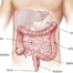 Deep UV Raman spectroscopy and machine learning analysis to fight bowel cancer.